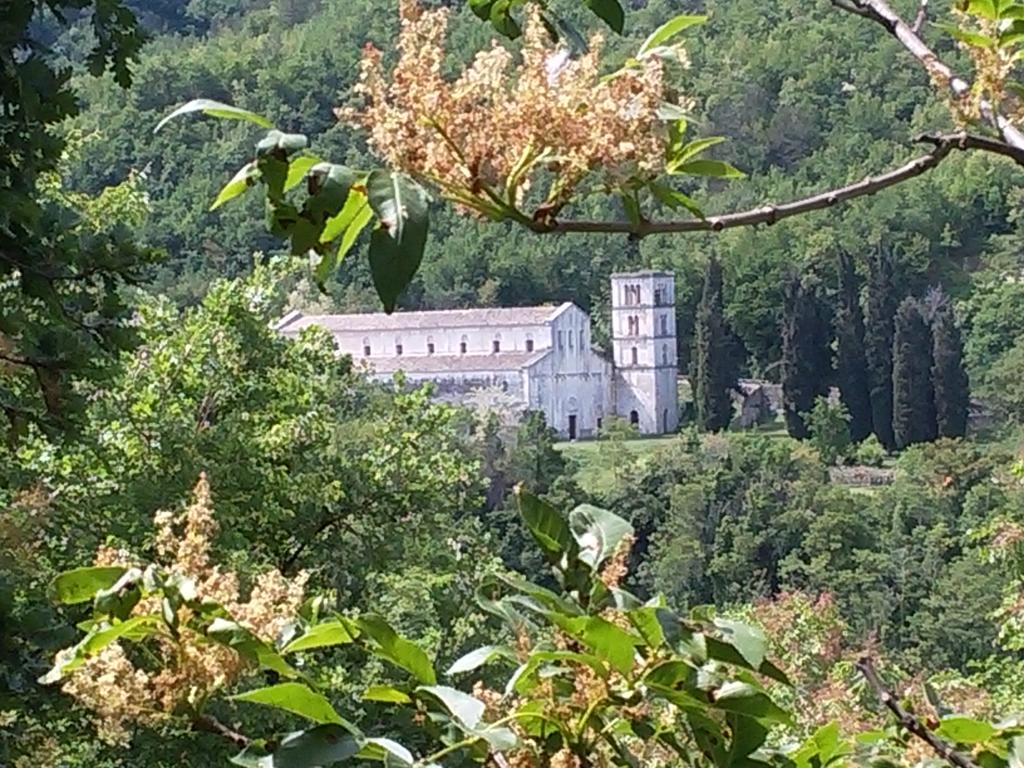 Le Pietre Ricce Apartment Roccamontepiano
